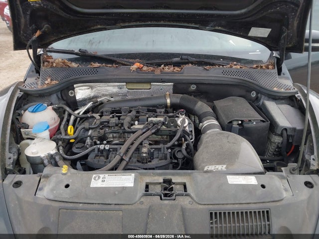 Volkswagen Beetle 2.0t R-line