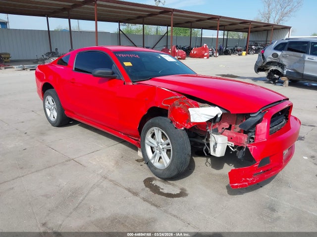 Salvage Ford Mustang Image