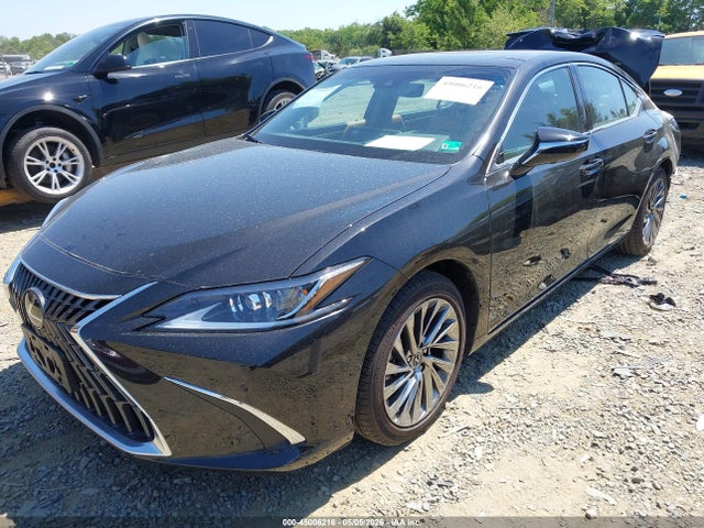 Lexus Es Luxury