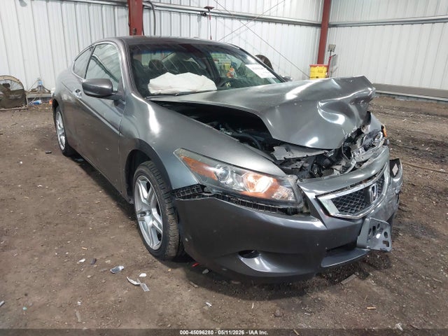 Salvage Honda Accord Image