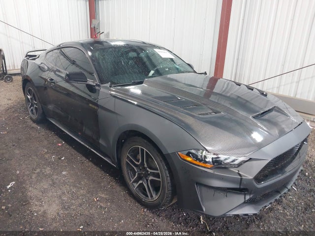 Salvage Ford Mustang Image