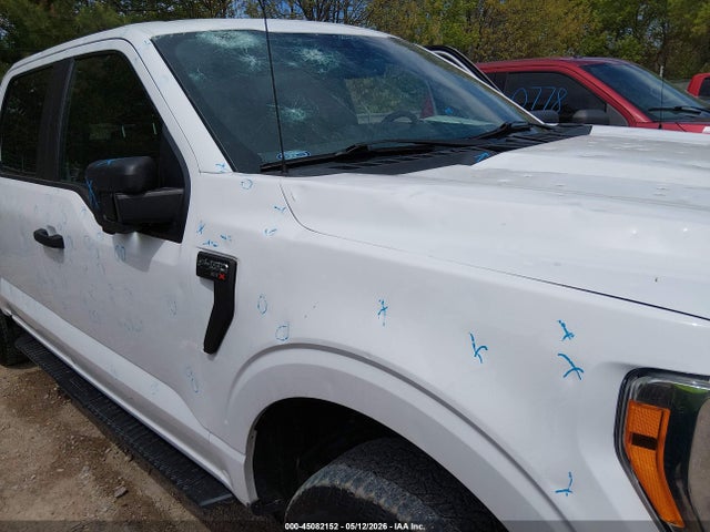 Ford F-150 Xl