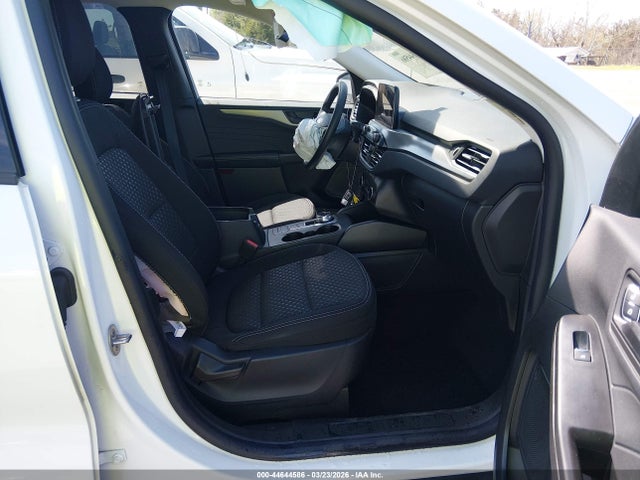 Ford Escape Active