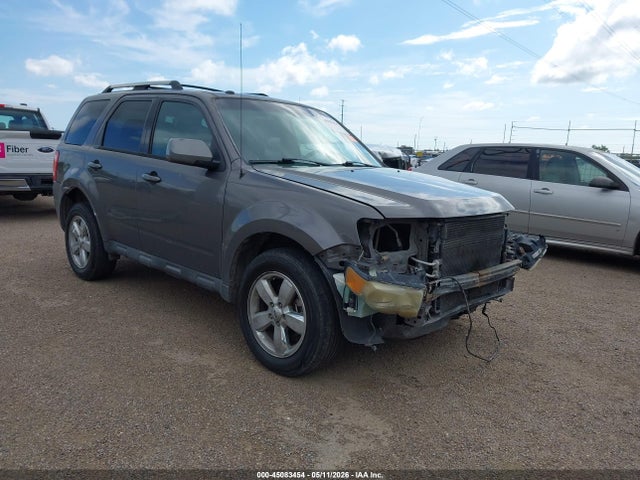 Salvage Ford Escape Image