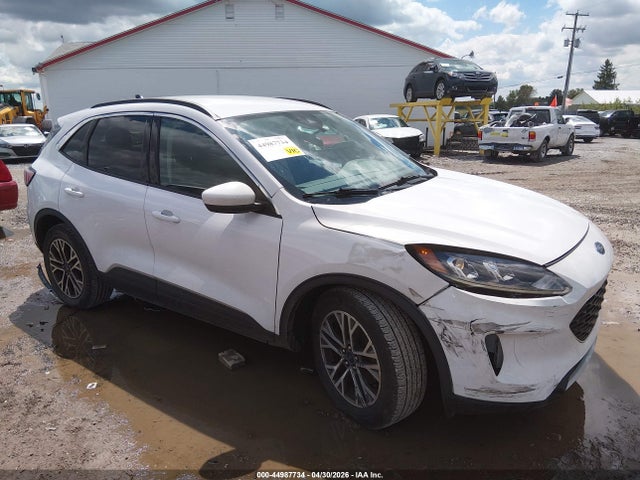 Ford Escape Sel