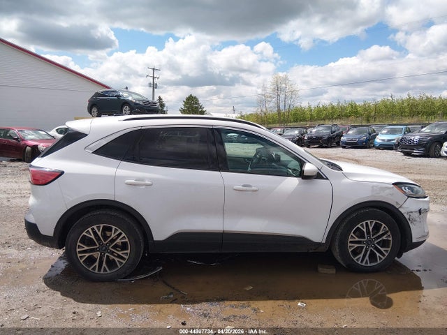 Ford Escape Sel