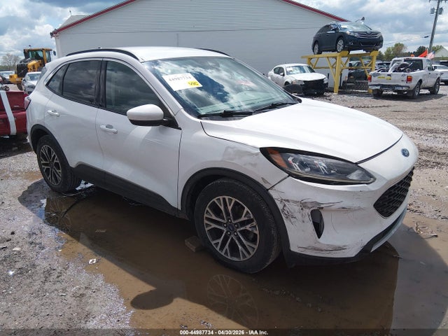 Salvage Ford Escape Image