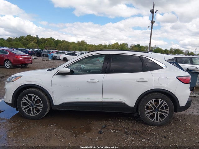 Ford Escape Sel