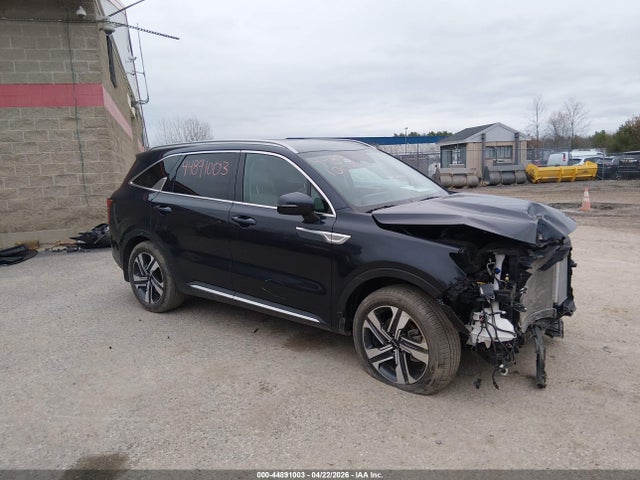 Salvage Kia Sorento Image