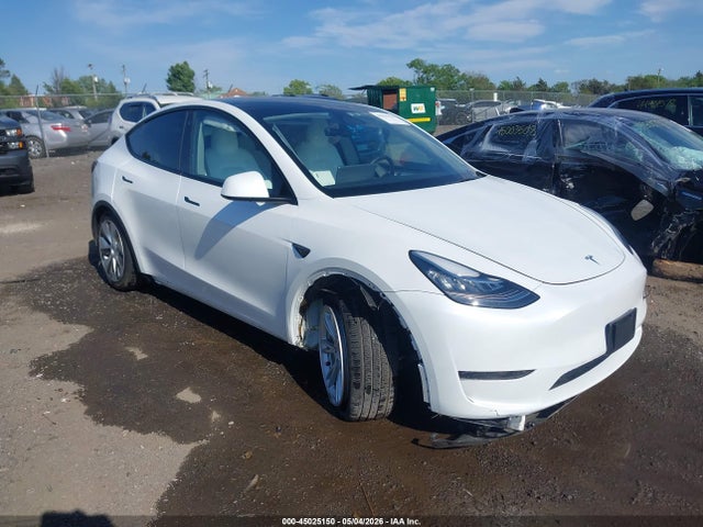 Salvage Tesla Model Y Image