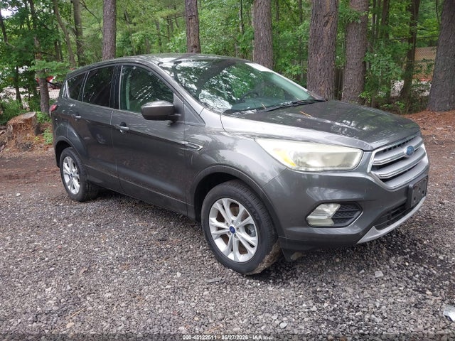 Salvage Ford Escape Image