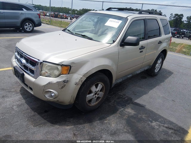 Ford Escape Xlt