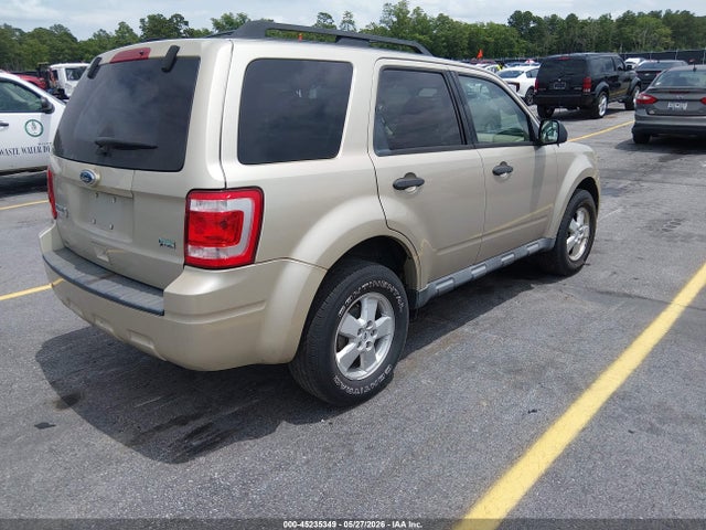 Ford Escape Xlt