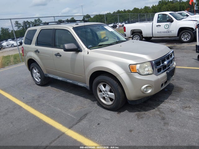 Salvage Ford Escape Image