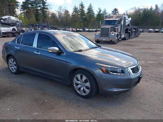Salvage Honda Accord Image
