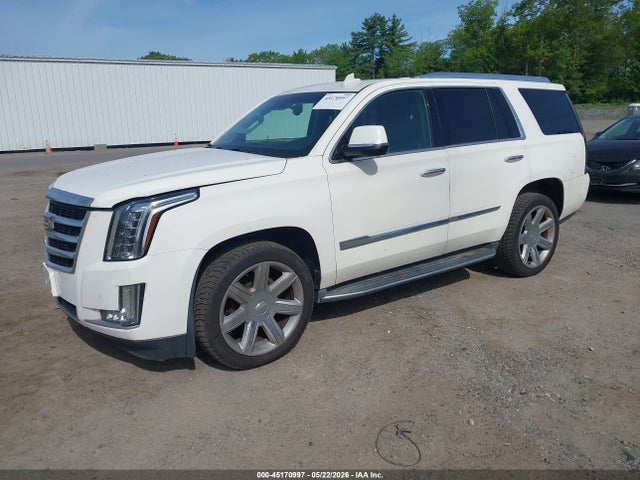 Cadillac Escalade Luxury Collection