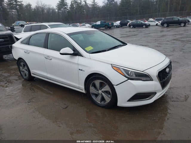 Salvage Hyundai SONATA Image