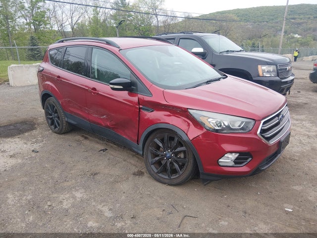 Salvage Ford Escape Image