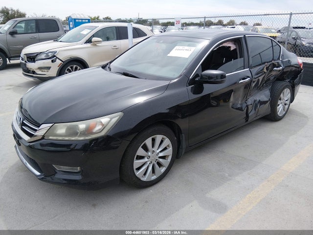 Honda Accord Ex-l V-6