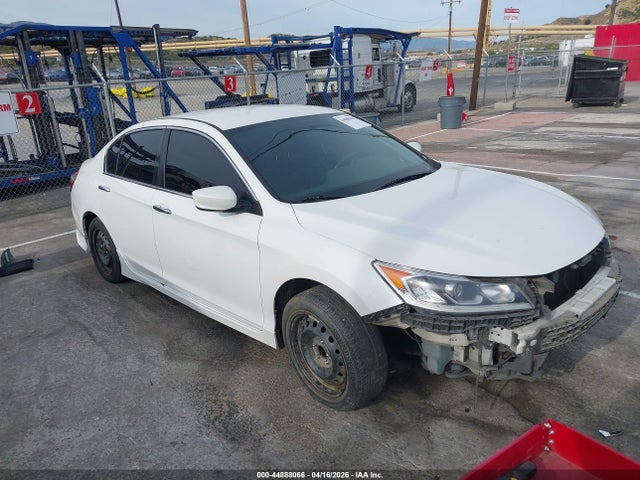 Salvage Honda Accord Image