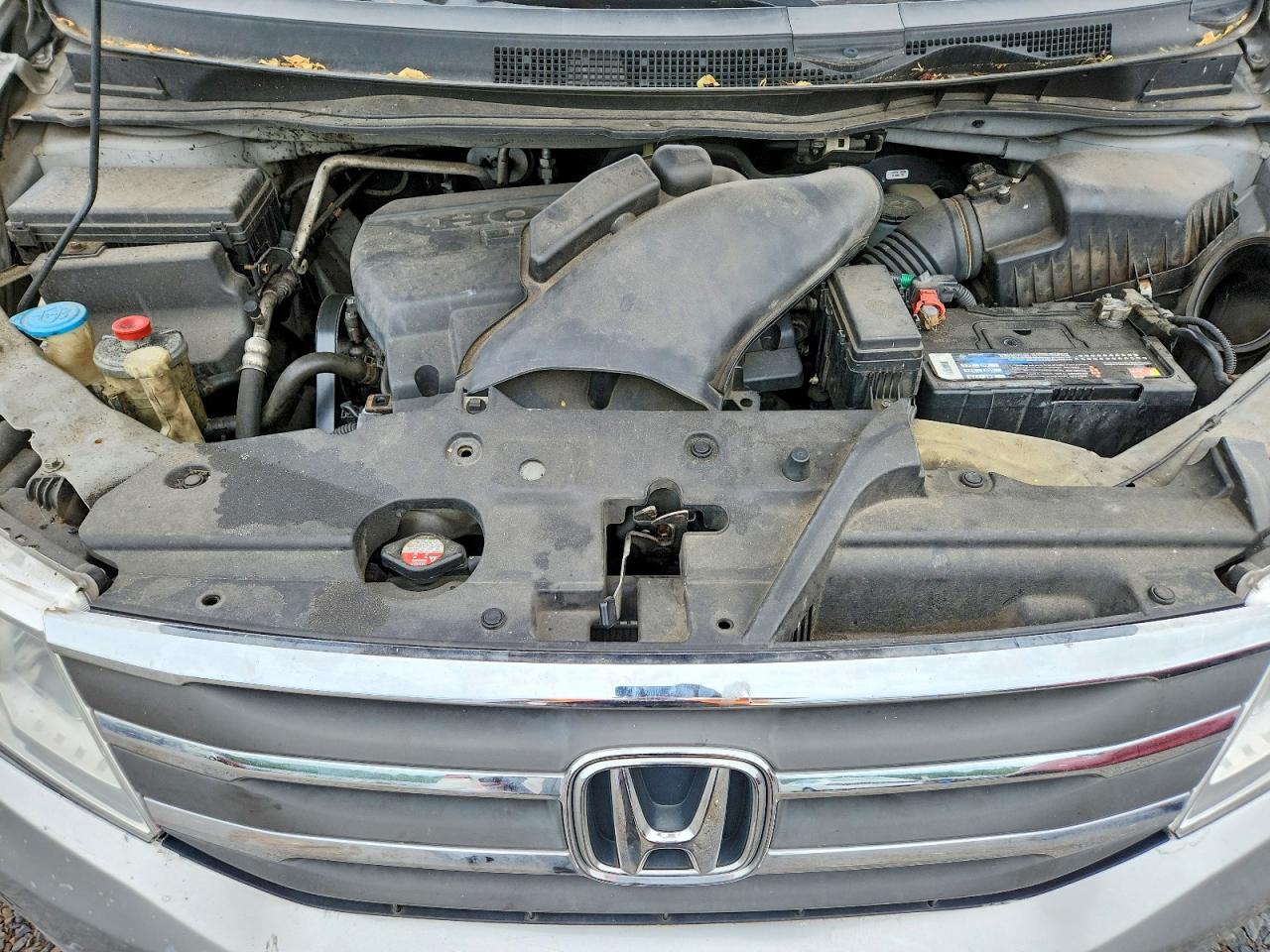 Honda Odyssey Exl