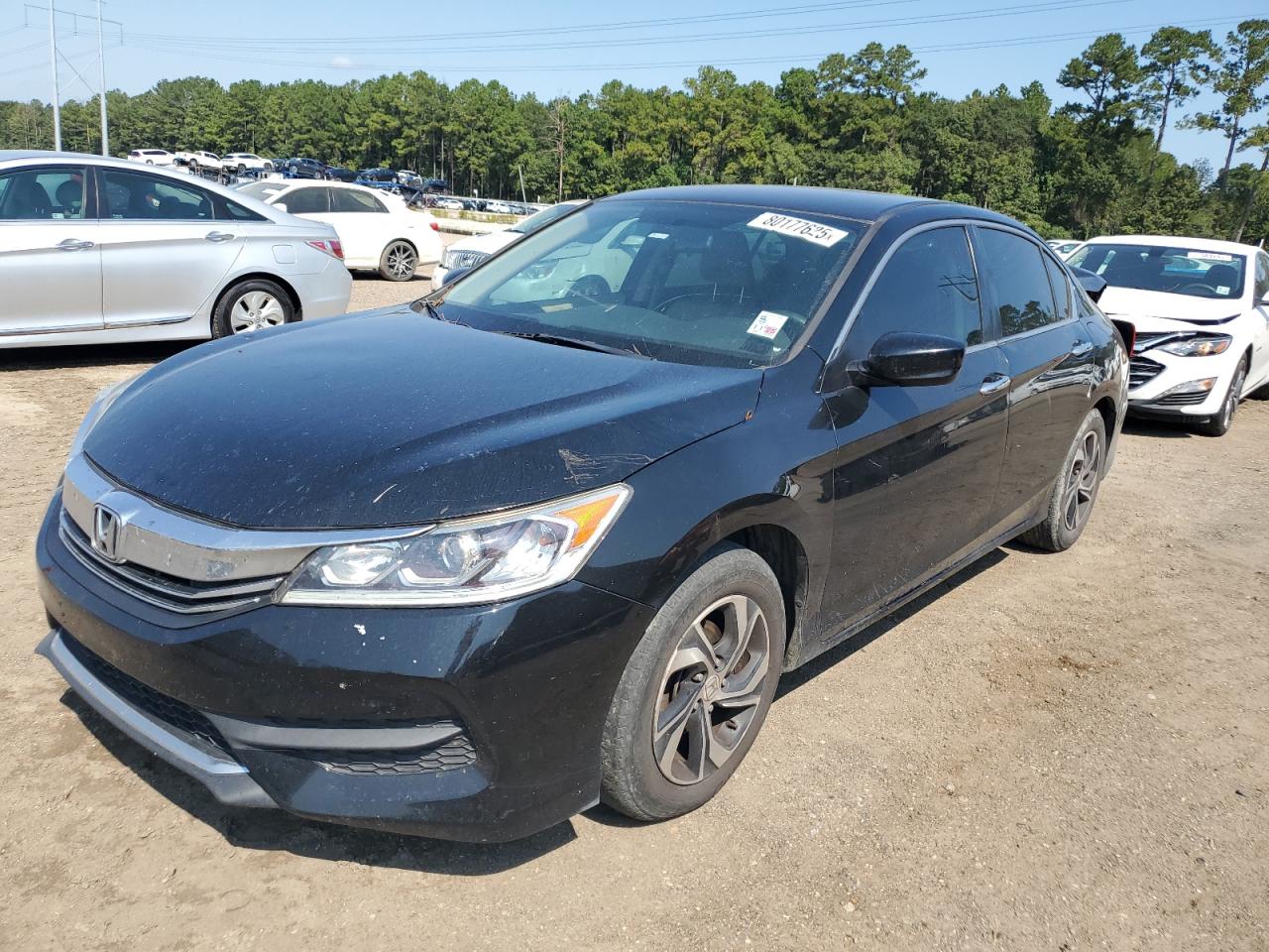 Salvage Honda Accord Image