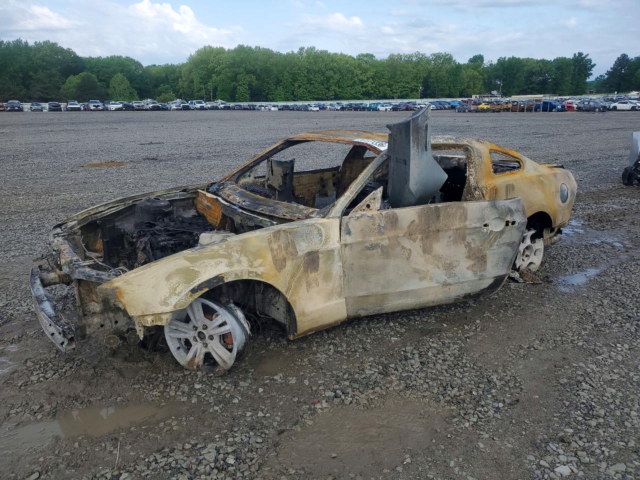 Salvage Ford Mustang Image