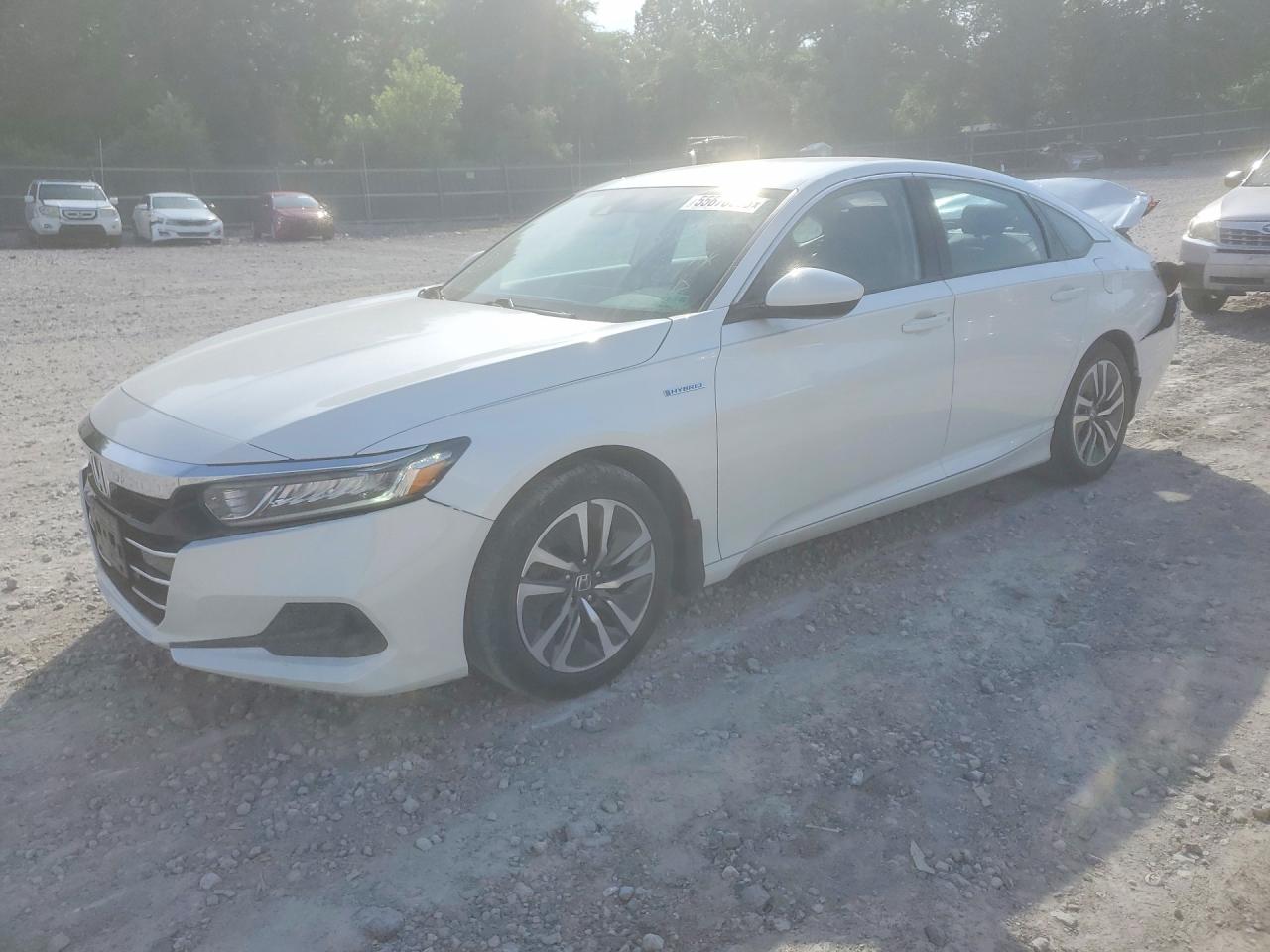 Salvage Honda Accord Image