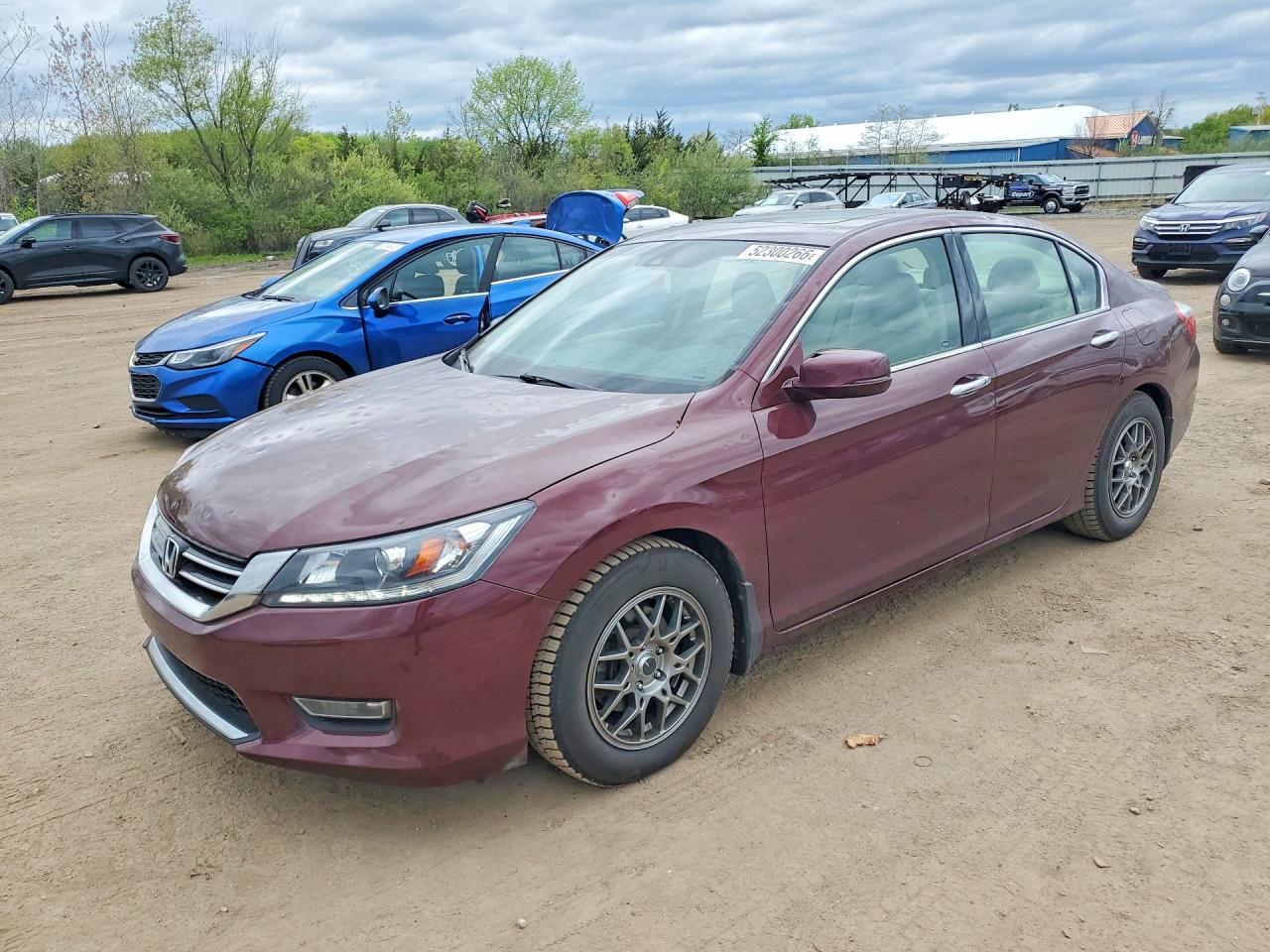 Salvage Honda Accord Image
