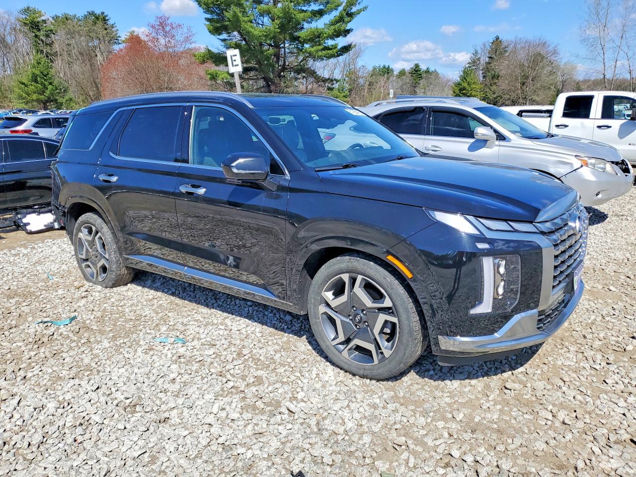 Hyundai PALISADE Calligraphy