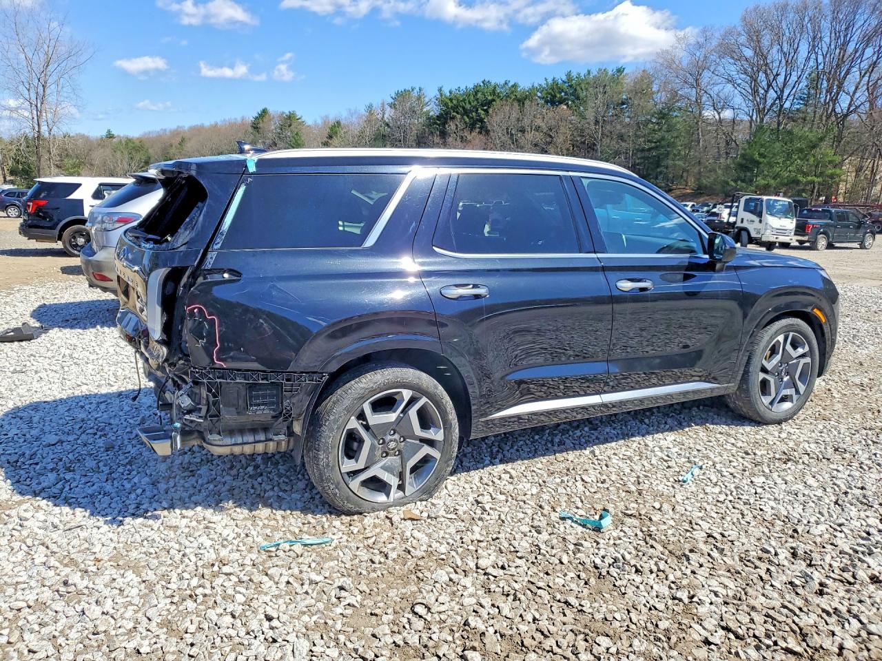 Hyundai PALISADE Calligraphy