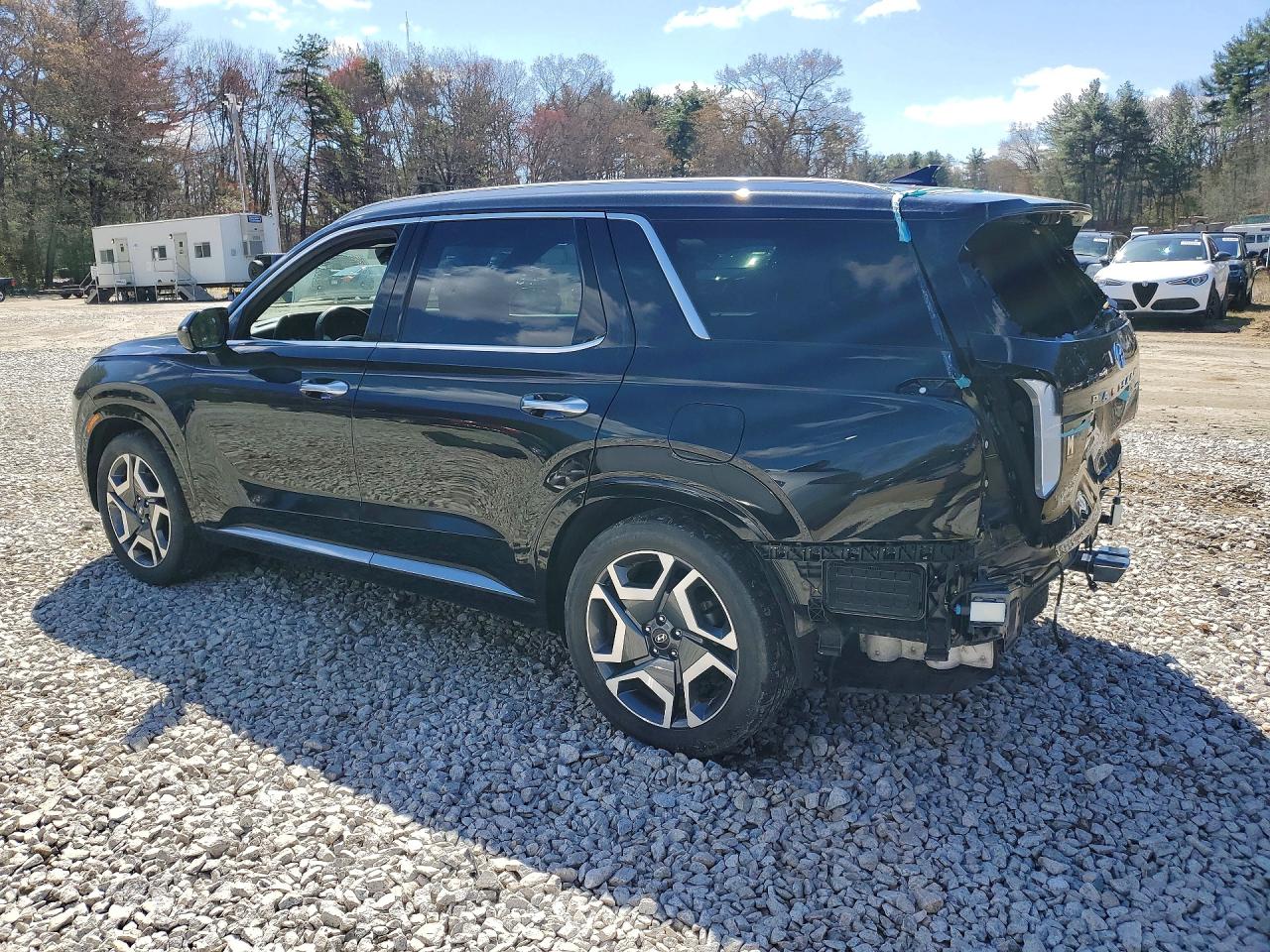Hyundai PALISADE Calligraphy