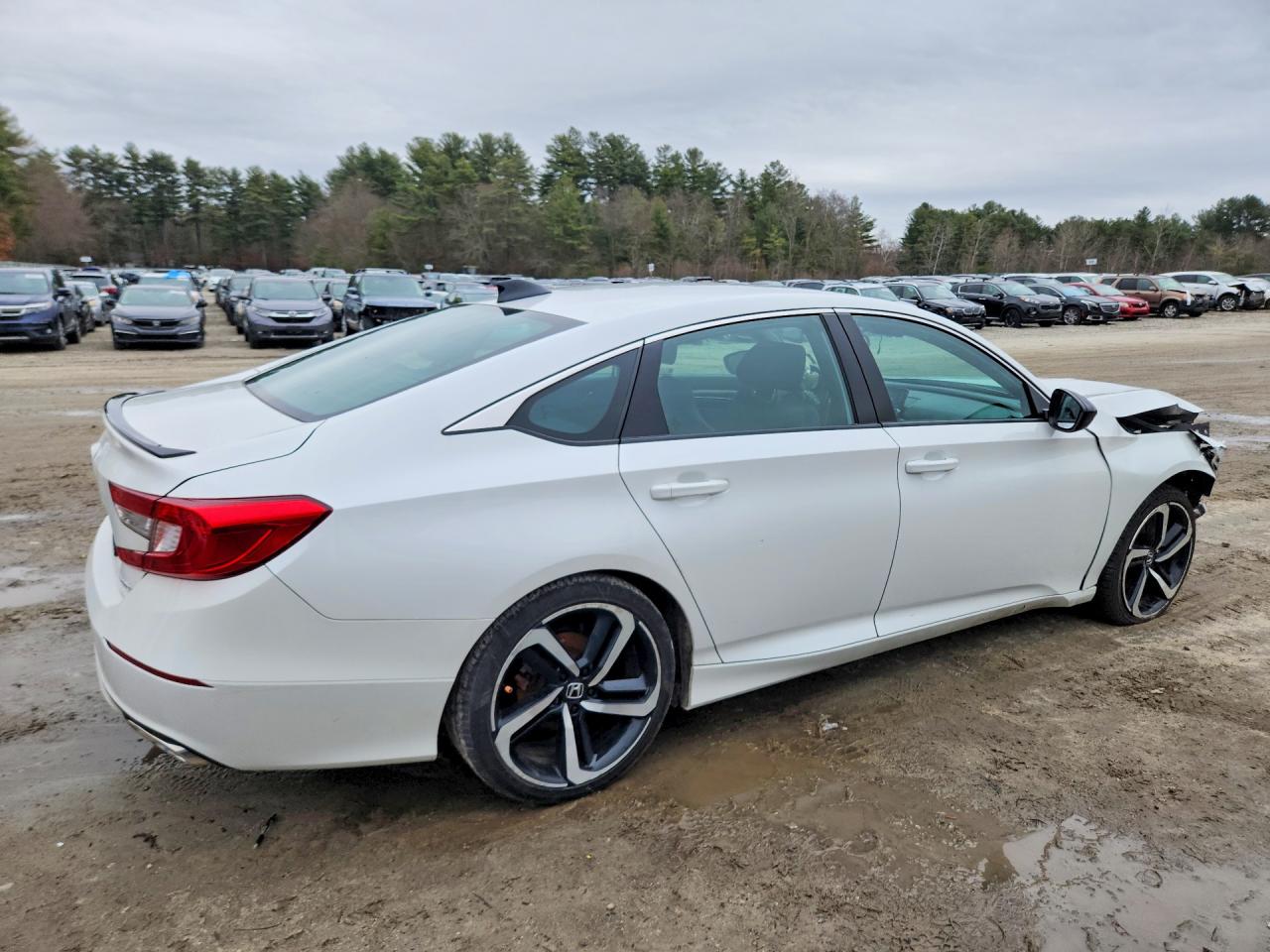 Honda Accord Sport