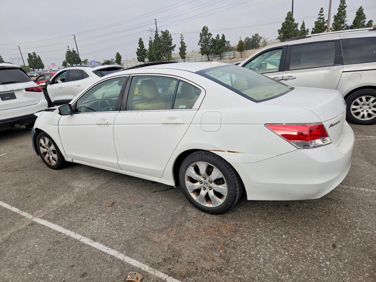 Honda Accord Exl