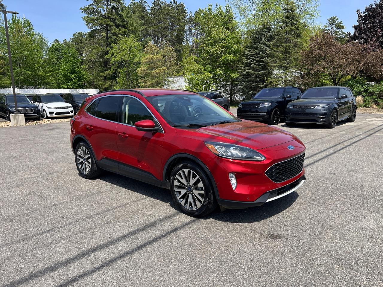 Salvage Ford Escape Image