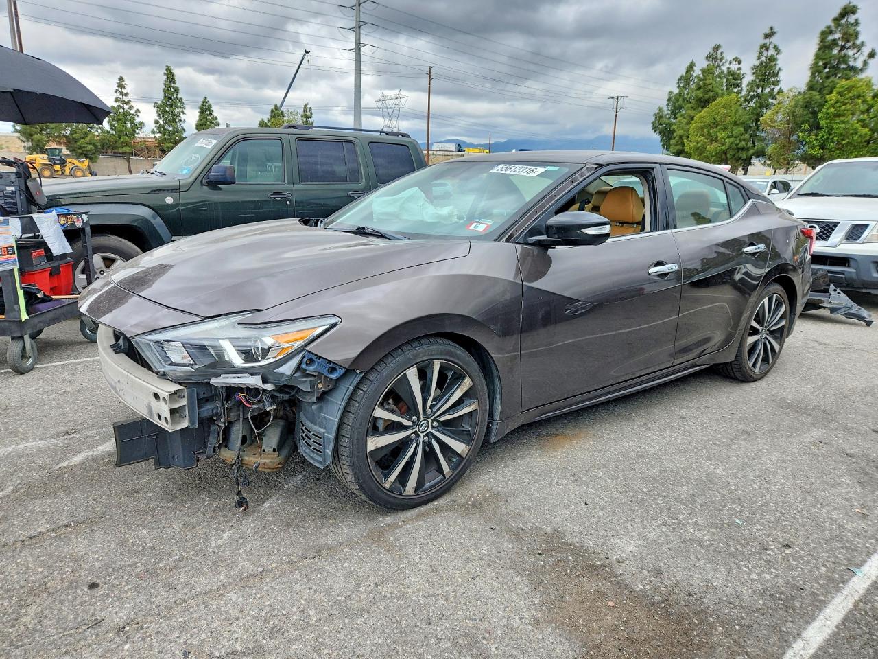 Salvage Nissan Maxima Image