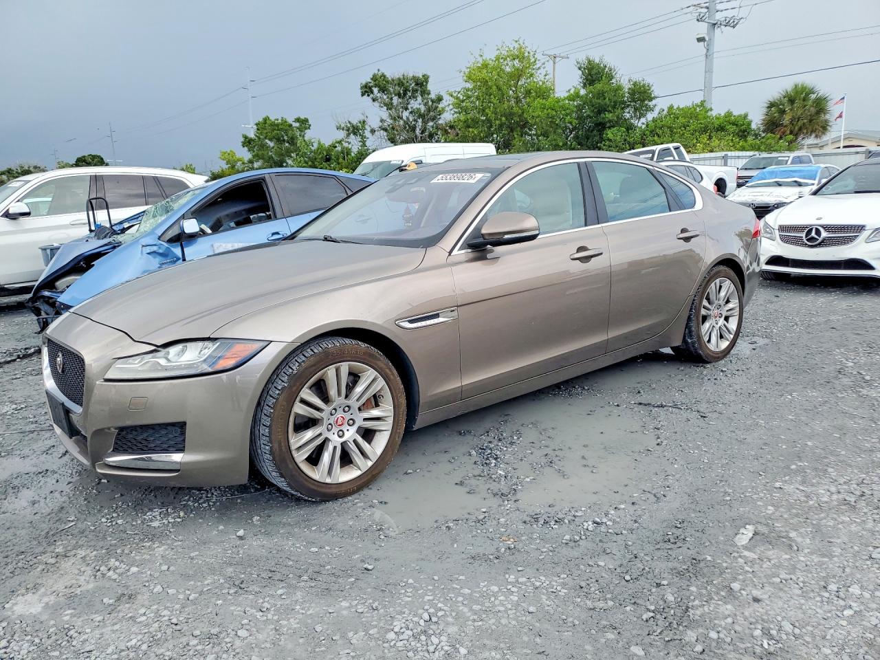 Salvage Jaguar XF Image