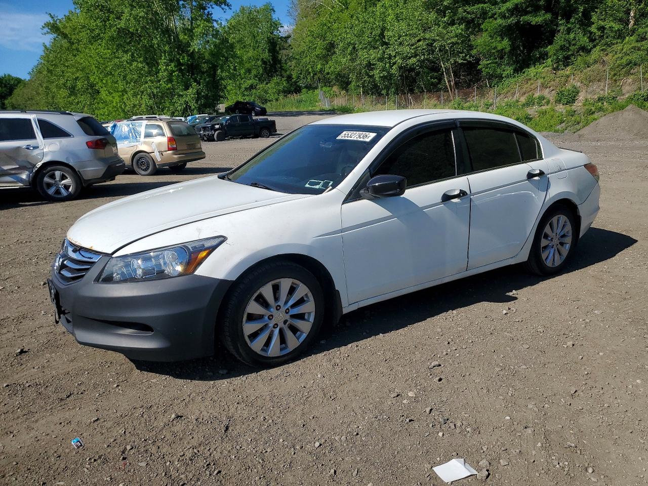 Salvage Honda Accord Image