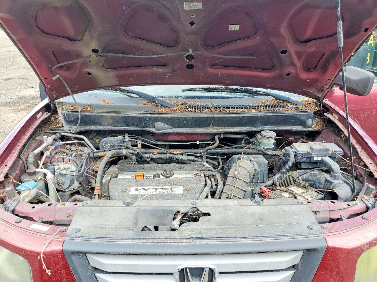 Honda Element Ex