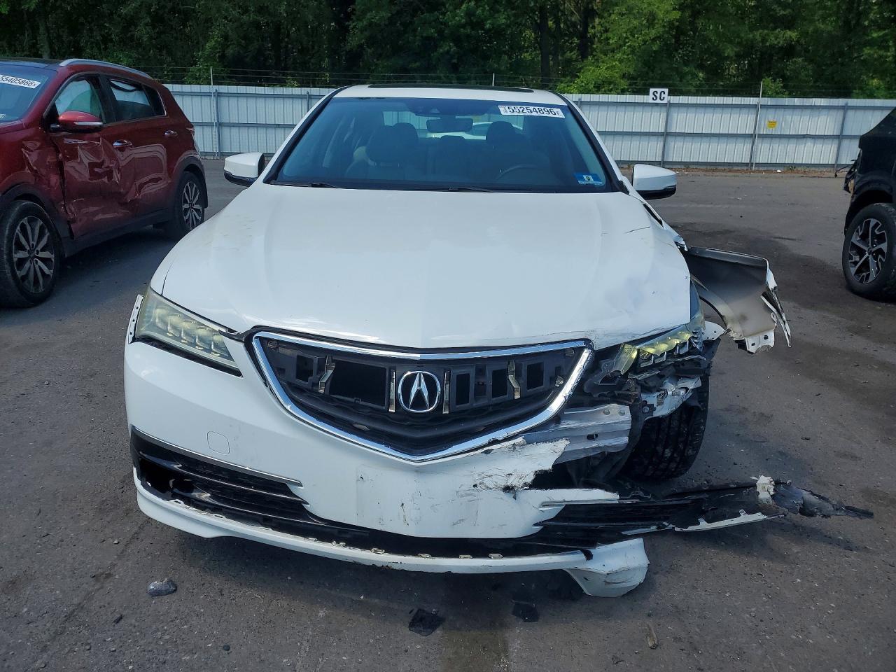 Acura TLX Tech