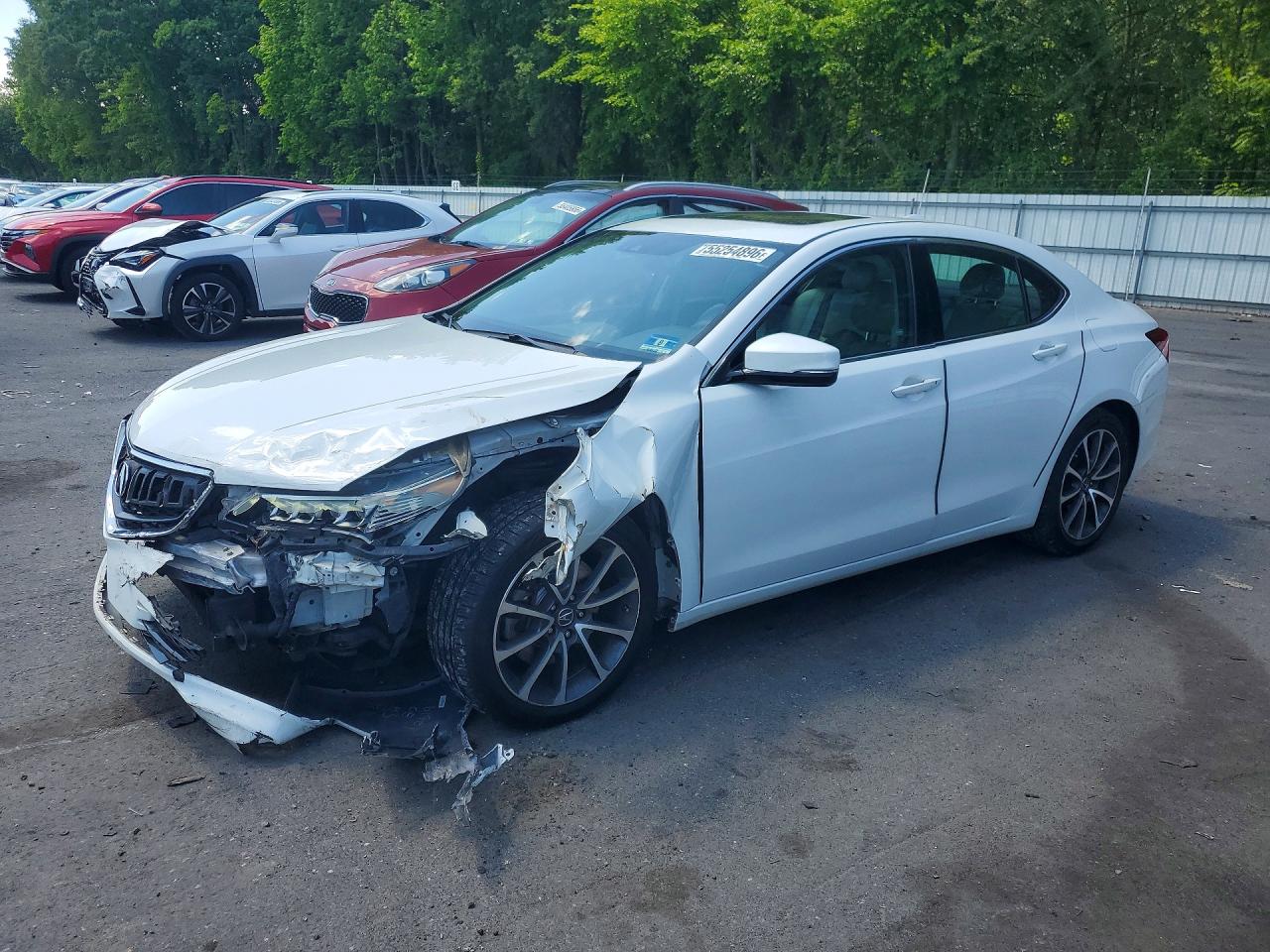 Salvage Acura TLX Image