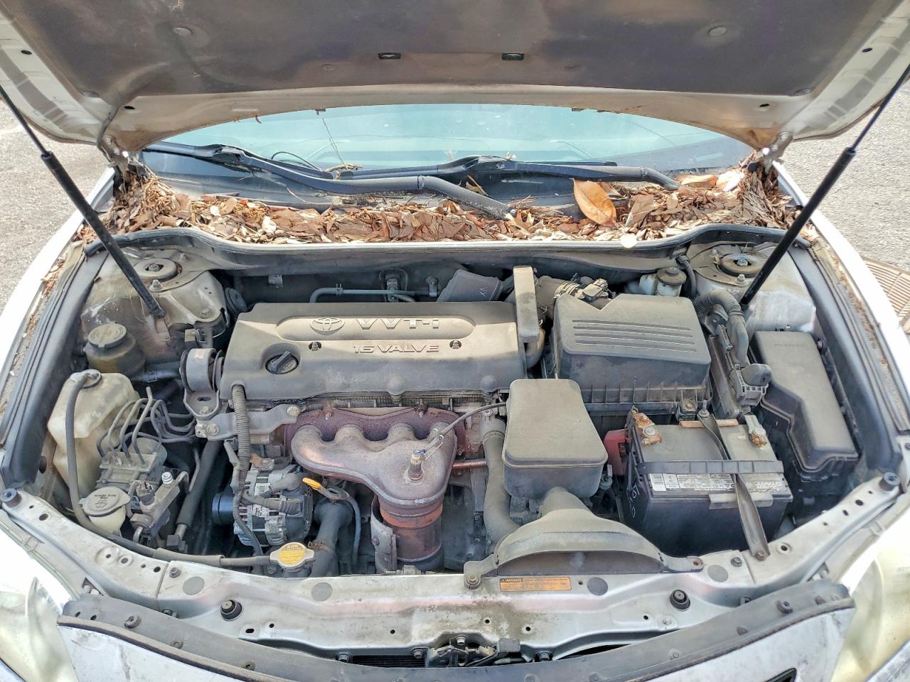 Toyota Camry Xle