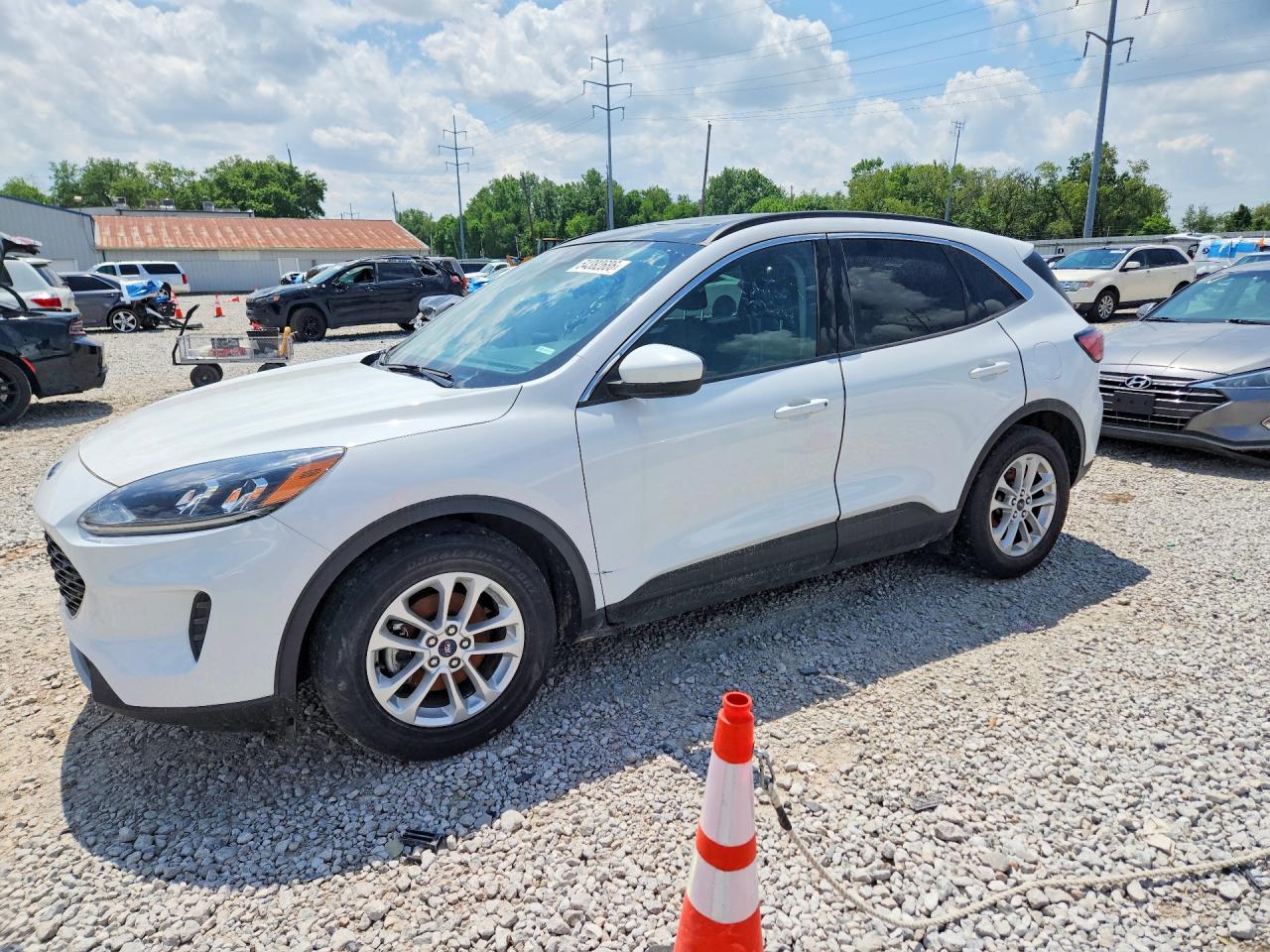 Salvage Ford Escape Image