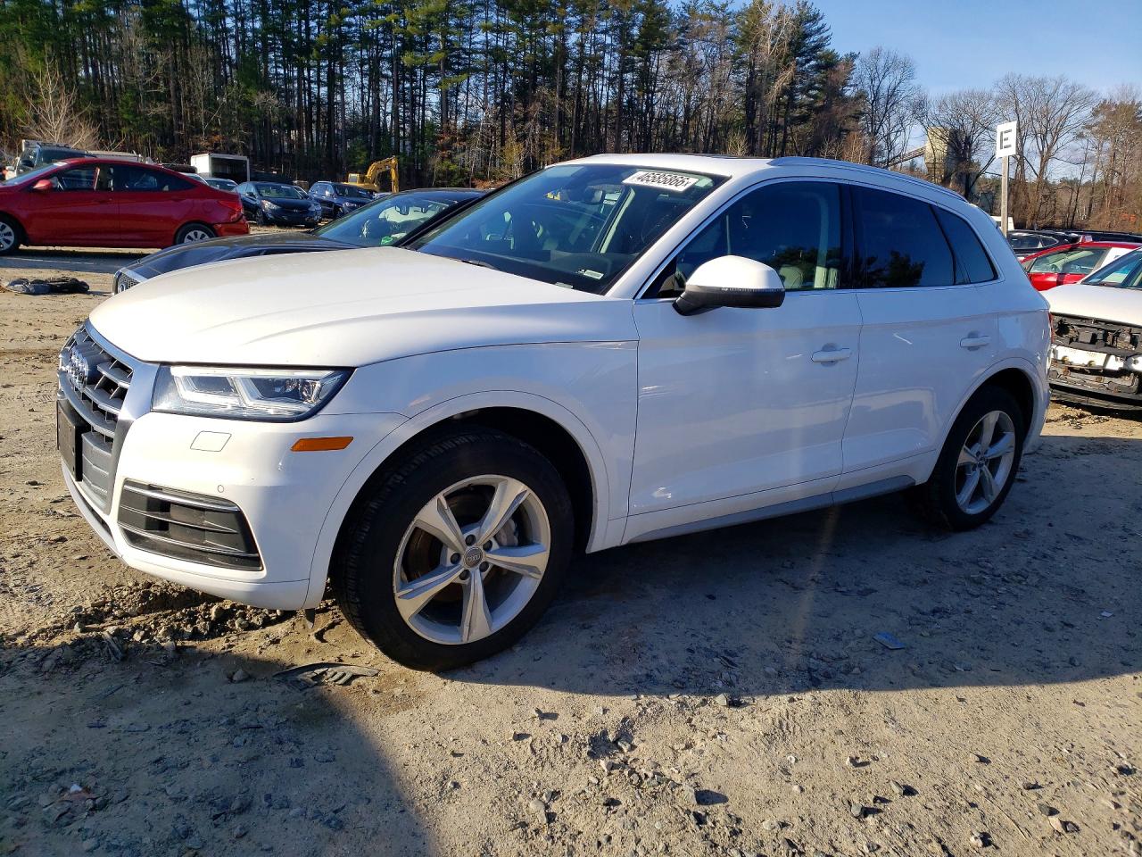 Salvage Audi Q5 Image