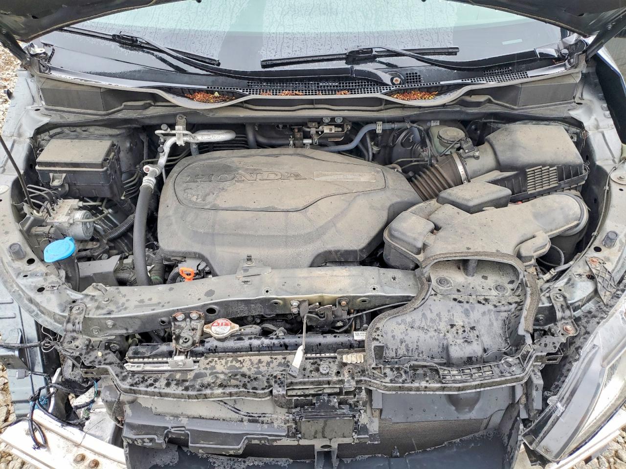 Honda Odyssey Exl