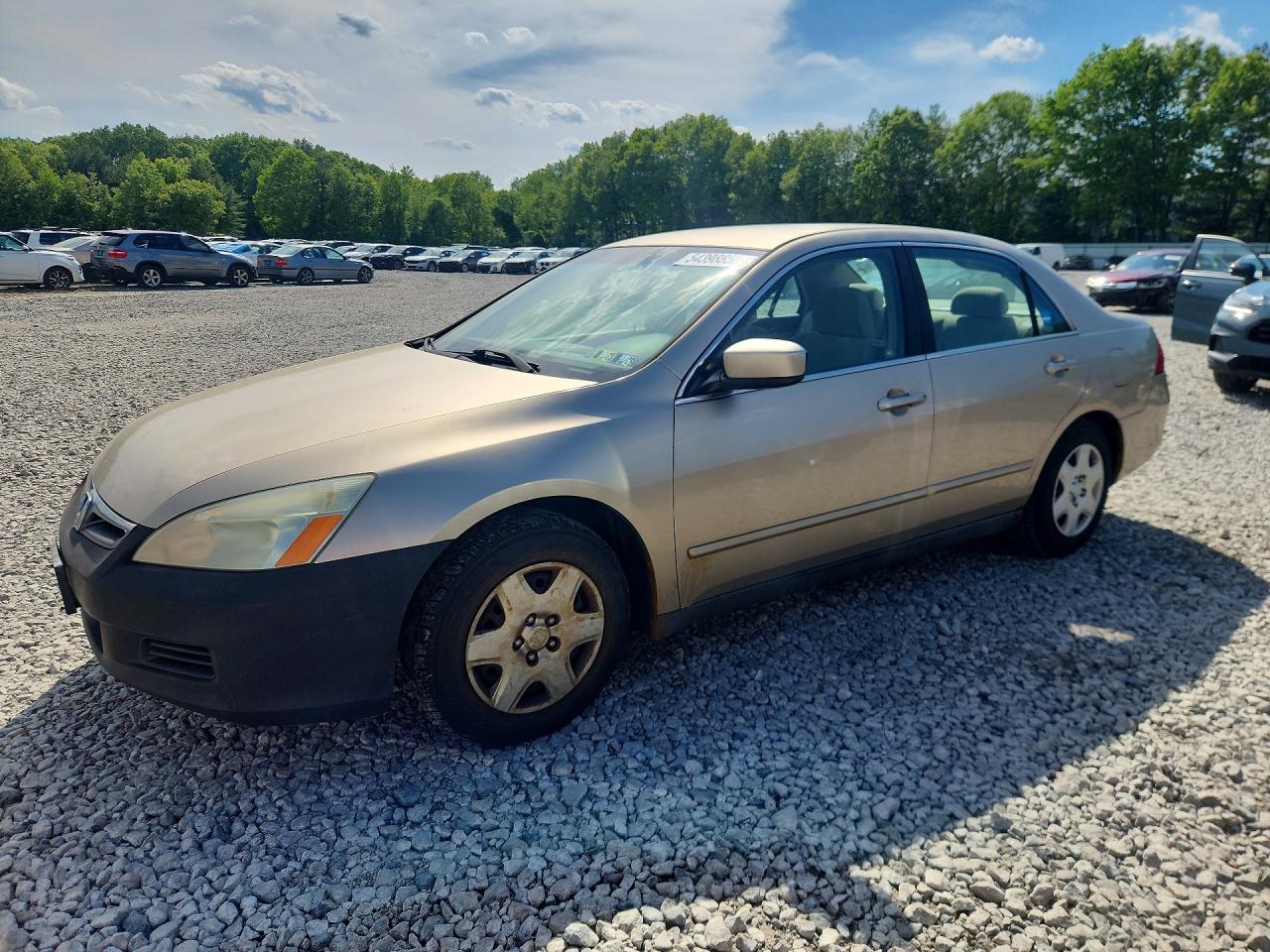 Salvage Honda Accord Image