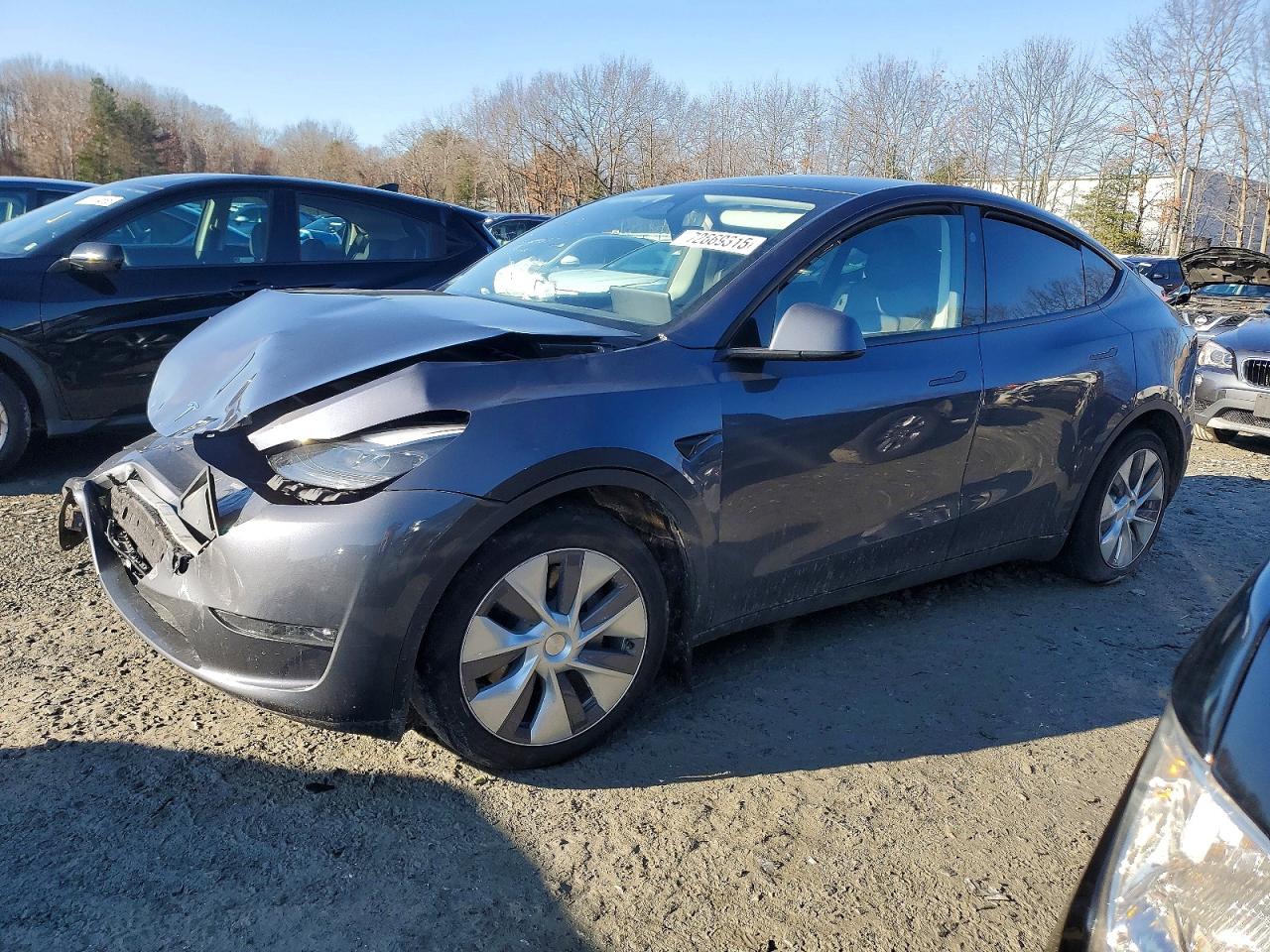 Salvage Tesla Model Y Image