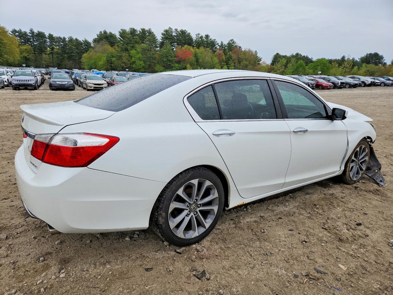 Honda Accord Sport