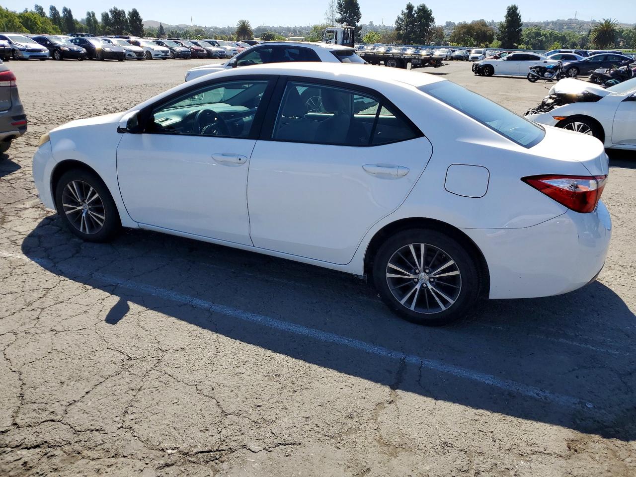 Toyota Corolla Le Plus