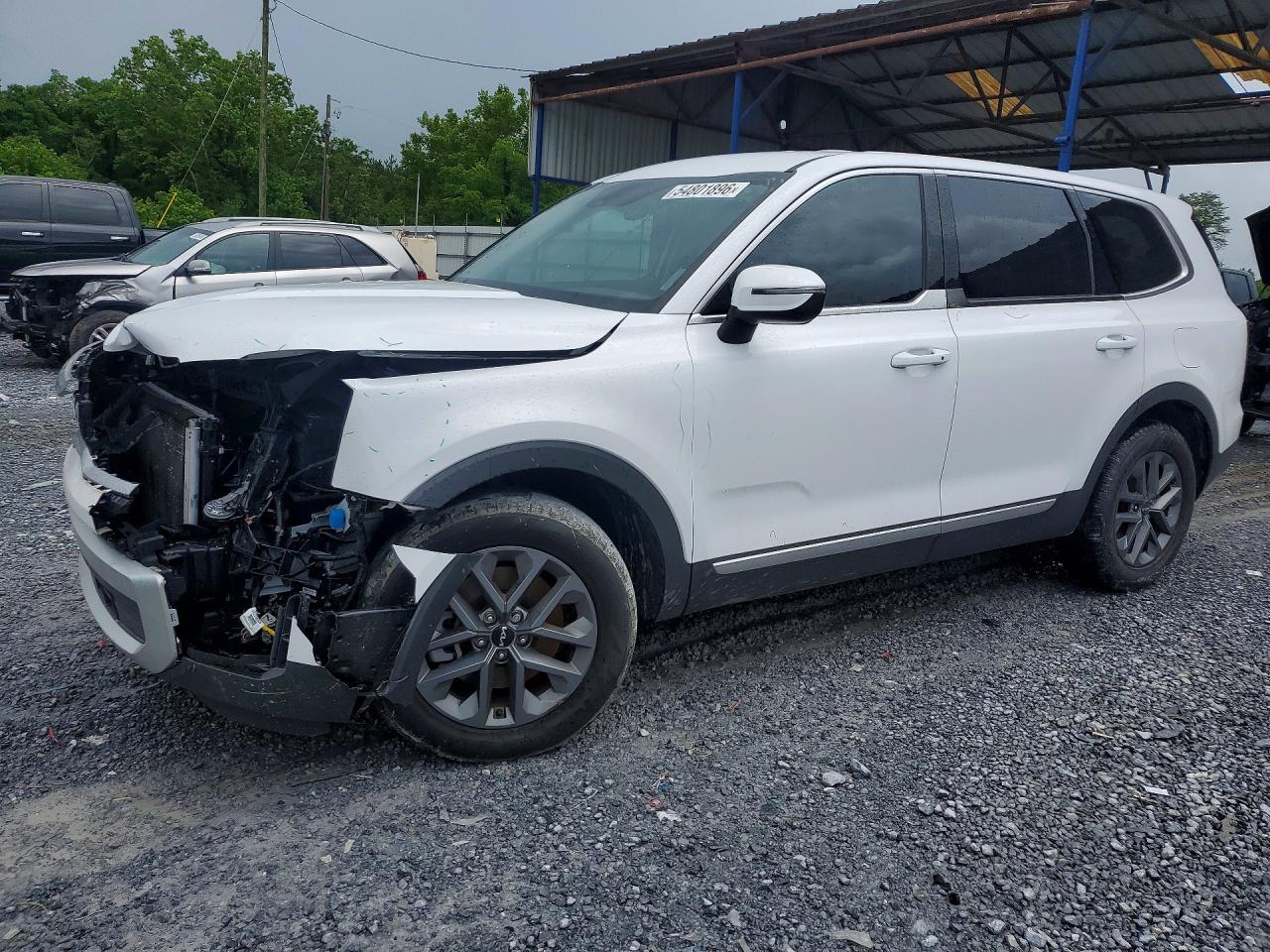 Salvage Kia Telluride Image